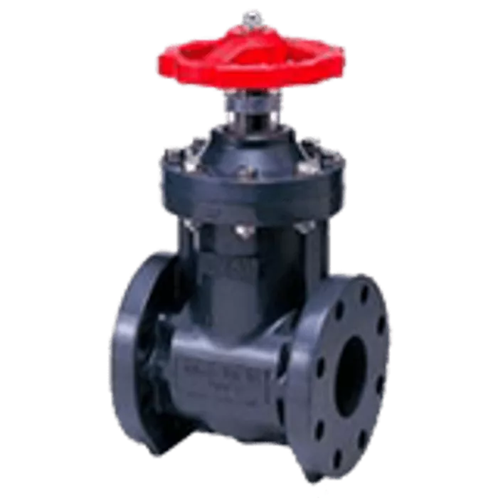 Gate Valve Type - P (PLUG) ROUND HANDLE [1 1/4-14inch] (32-350mm)