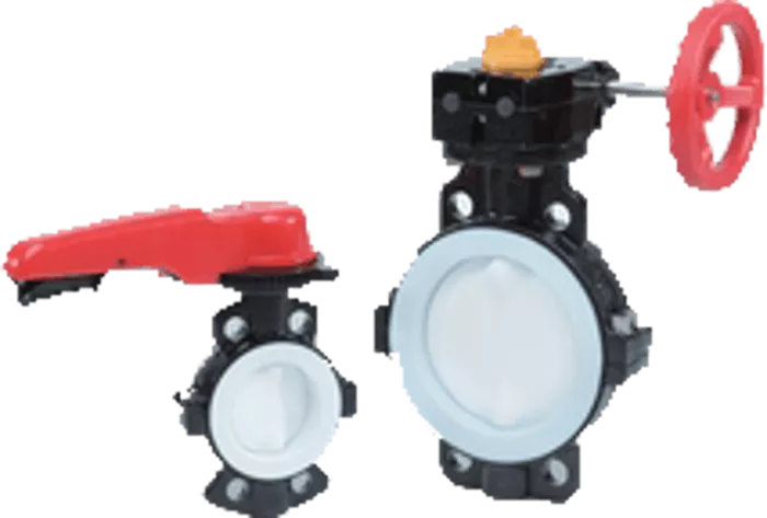 Butterfly Valve Type  55IS [2-8inch] (50-200mm)