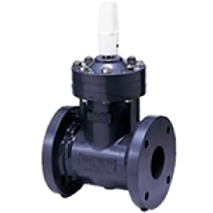 Gate Valve Type - P (PLUG) CAP [1 1/4-14inch] (32-350mm)