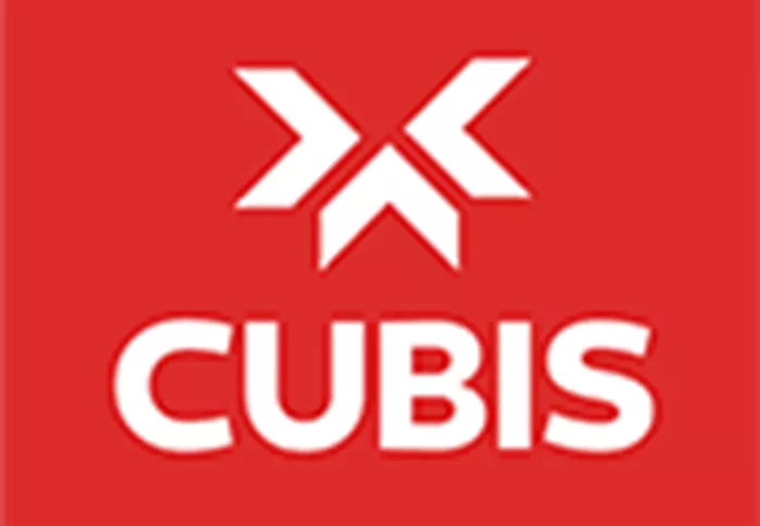 CUBIS SYSTEMS